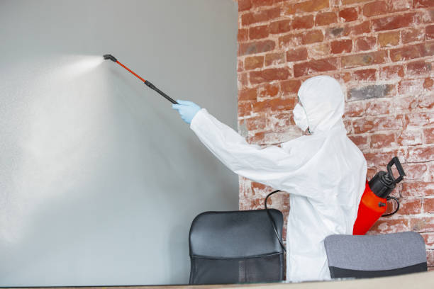 Best Mold Documentation for Insurance Claims  in Dayton, NV