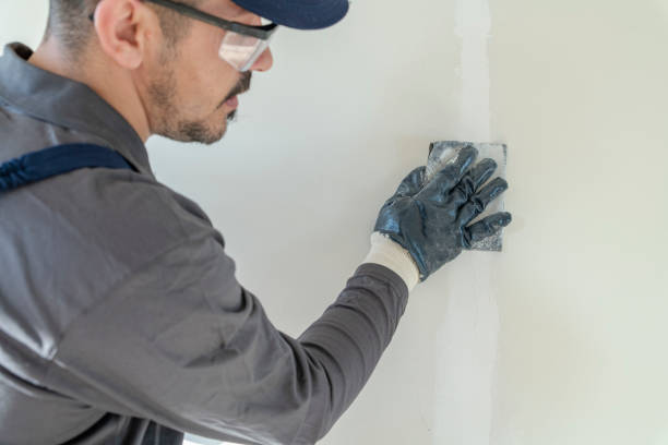 Best Industrial Mold Remediation  in Dayton, NV