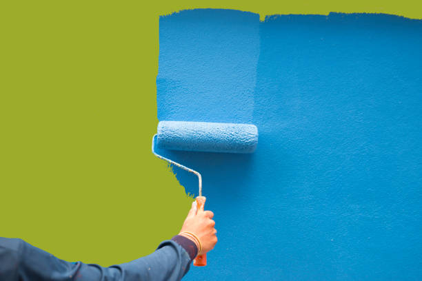 Best Mold Damage Restoration  in Dayton, NV